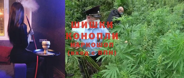 ГАЛЛЮЦИНОГЕННЫЕ ГРИБЫ Богданович