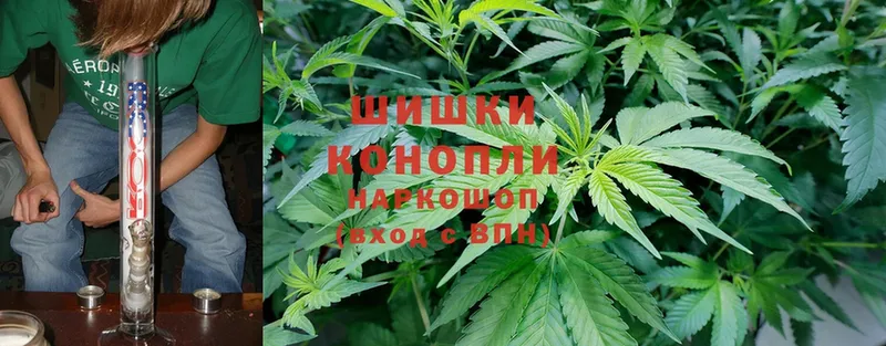 купить наркоту  MEGA ссылки  Бошки марихуана THC 21%  Мурманск 